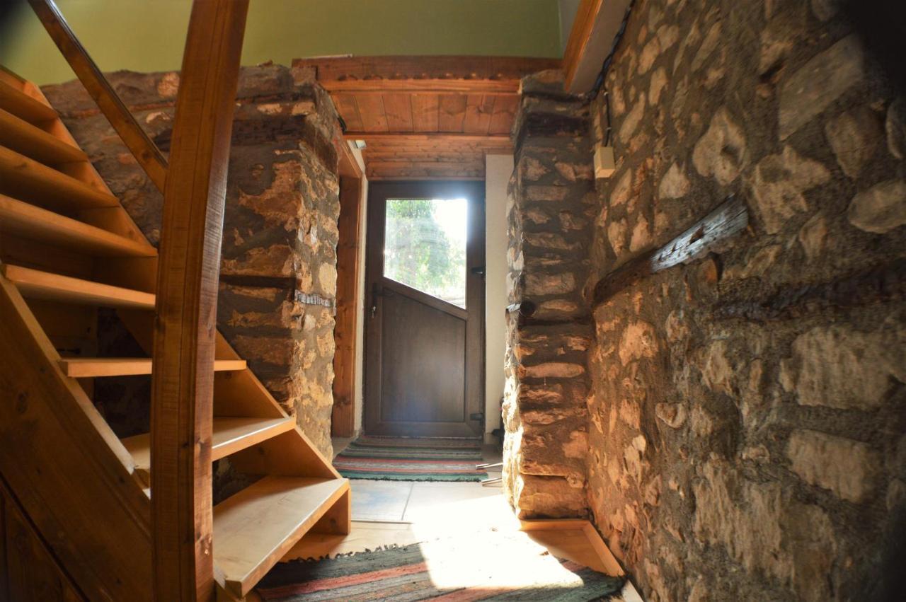 EskiZ - Our stone home Chepelare Extérieur photo